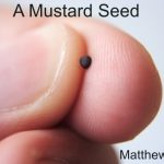 A_Mustard_Seed